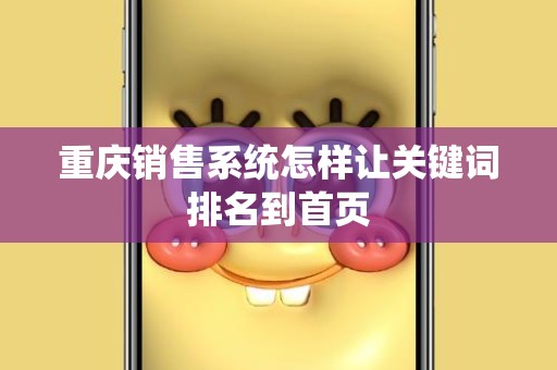 重庆销售系统怎样让关键词排名到首页