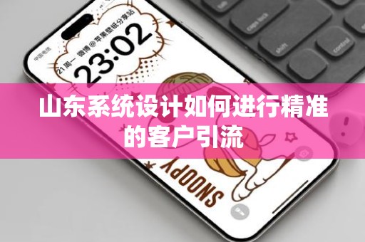 山东系统设计如何进行精准的客户引流