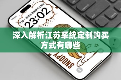 深入解析江苏系统定制购买方式有哪些