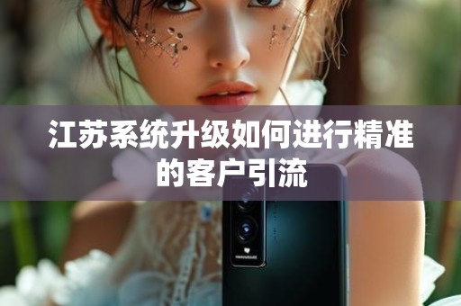 江苏系统升级如何进行精准的客户引流