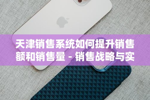 天津销售系统如何提升销售额和销售量 - 销售战略与实践