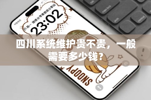 四川系统维护贵不贵，一般需要多少钱？