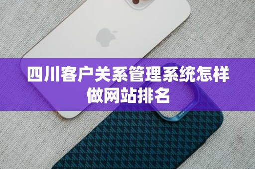 四川客户关系管理系统怎样做网站排名