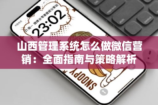 山西管理系统怎么做微信营销：全面指南与策略解析