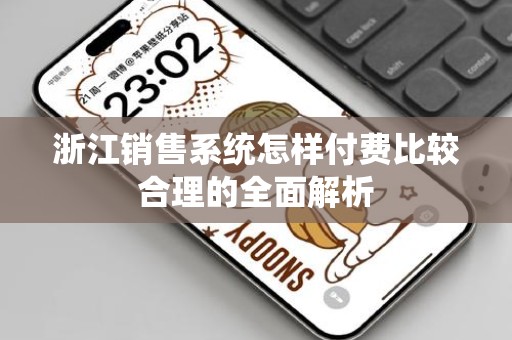 浙江销售系统怎样付费比较合理的全面解析