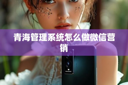 青海管理系统怎么做微信营销