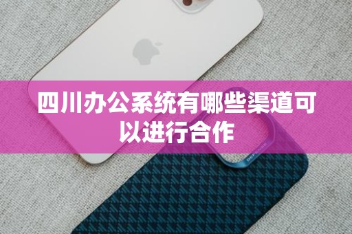 四川办公系统有哪些渠道可以进行合作