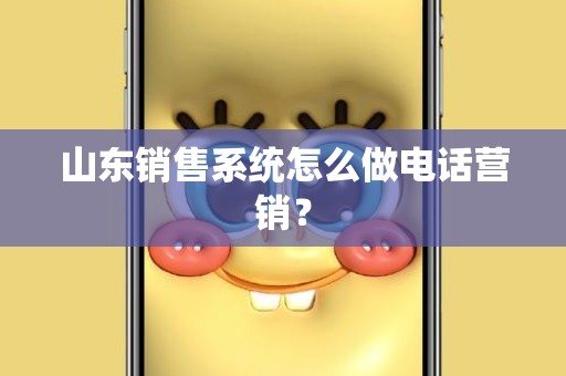 山东销售系统怎么做电话营销？