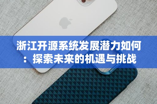 浙江开源系统发展潜力如何：探索未来的机遇与挑战