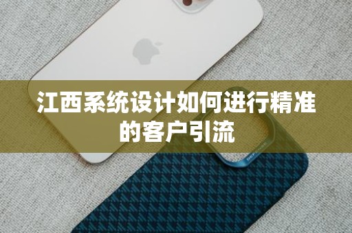 江西系统设计如何进行精准的客户引流