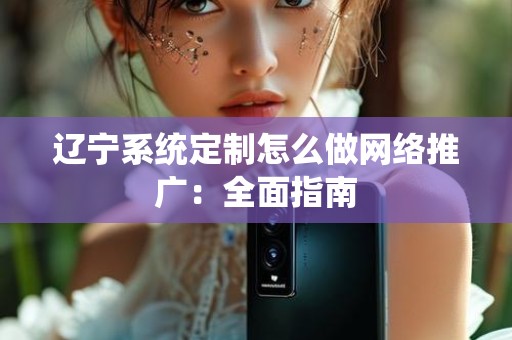 辽宁系统定制怎么做网络推广：全面指南