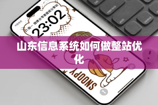 山东信息系统如何做整站优化