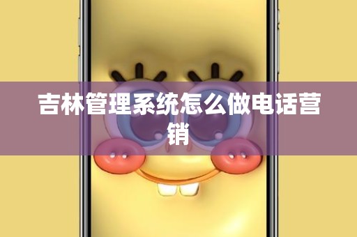 吉林管理系统怎么做电话营销