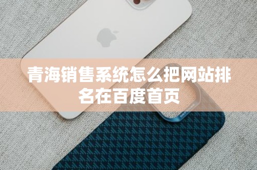 青海销售系统怎么把网站排名在百度首页