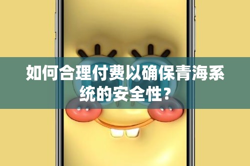 如何合理付费以确保青海系统的安全性？