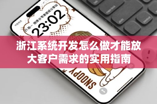 浙江系统开发怎么做才能放大客户需求的实用指南