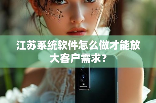 江苏系统软件怎么做才能放大客户需求？
