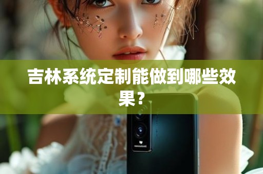 吉林系统定制能做到哪些效果？