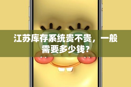 江苏库存系统贵不贵，一般需要多少钱？