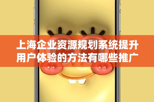 上海企业资源规划系统提升用户体验的方法有哪些推广方式有哪些