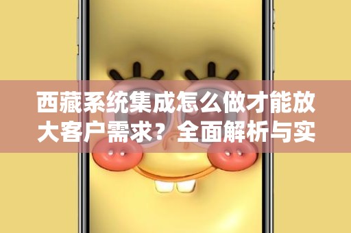 西藏系统集成怎么做才能放大客户需求？全面解析与实践指南