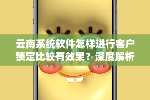云南系统软件怎样进行客户锁定比较有效果？深度解析与实践