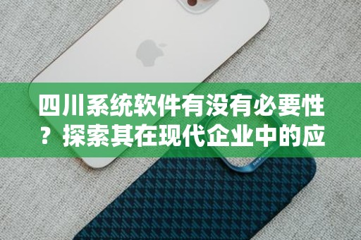 四川系统软件有没有必要性？探索其在现代企业中的应用