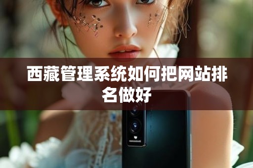 西藏管理系统如何把网站排名做好