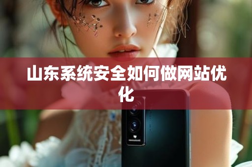 山东系统安全如何做网站优化