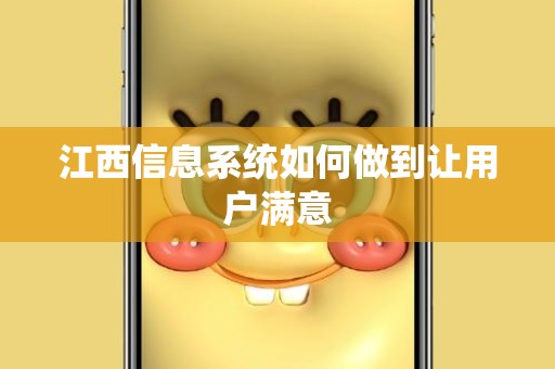 江西信息系统如何做到让用户满意