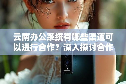 云南办公系统有哪些渠道可以进行合作？深入探讨合作模式与机会