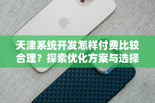 天津系统开发怎样付费比较合理？探索优化方案与选择标准