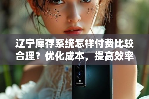 辽宁库存系统怎样付费比较合理？优化成本，提高效率