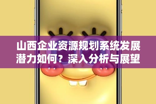 山西企业资源规划系统发展潜力如何？深入分析与展望
