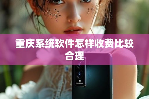 重庆系统软件怎样收费比较合理