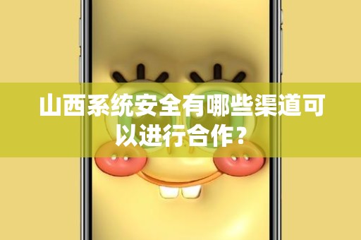 山西系统安全有哪些渠道可以进行合作？