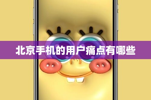 北京手机的用户痛点有哪些