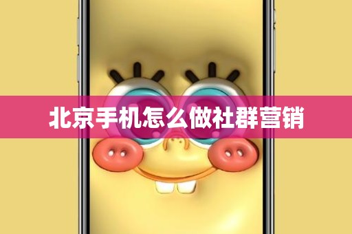 北京手机怎么做社群营销