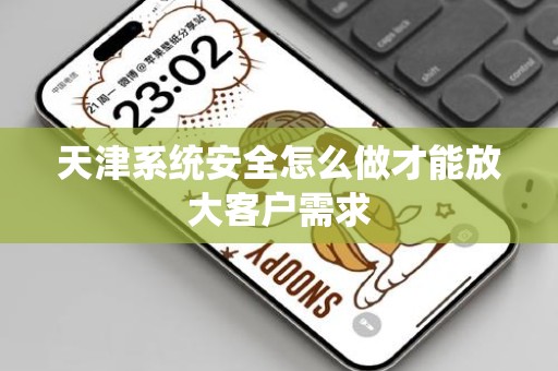 天津系统安全怎么做才能放大客户需求