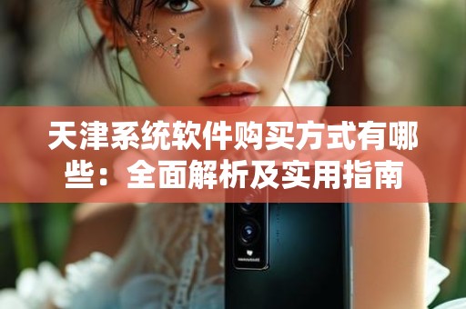 天津系统软件购买方式有哪些：全面解析及实用指南