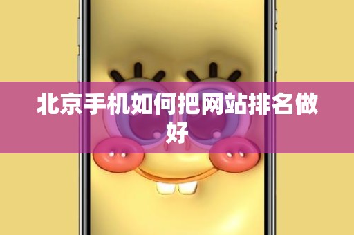 北京手机如何把网站排名做好