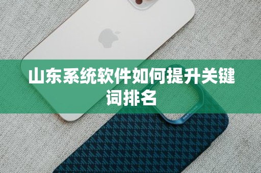 山东系统软件如何提升关键词排名