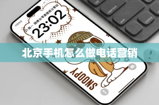北京手机怎么做电话营销