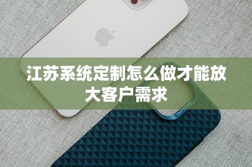 江苏系统定制怎么做才能放大客户需求