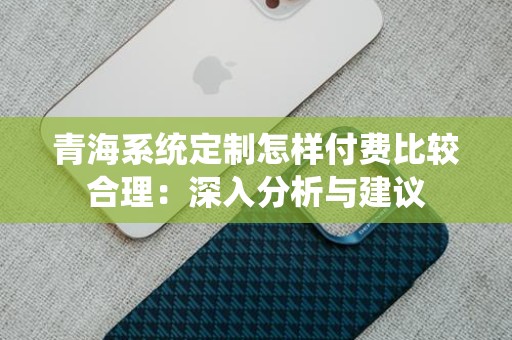 青海系统定制怎样付费比较合理：深入分析与建议