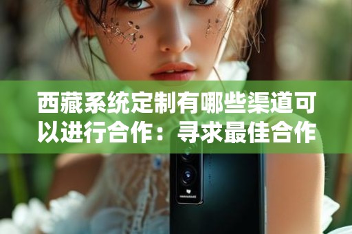 西藏系统定制有哪些渠道可以进行合作：寻求最佳合作方式