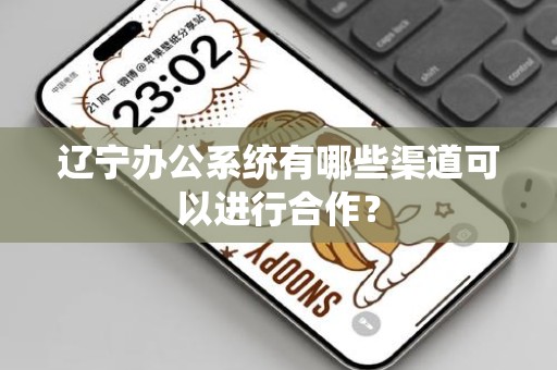 辽宁办公系统有哪些渠道可以进行合作？