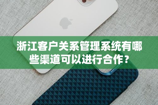浙江客户关系管理系统有哪些渠道可以进行合作？
