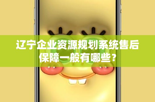 辽宁企业资源规划系统售后保障一般有哪些？