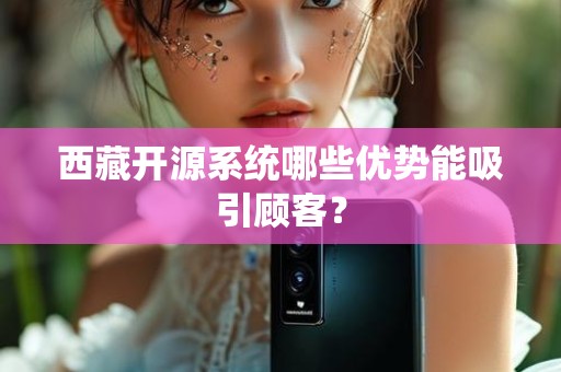 西藏开源系统哪些优势能吸引顾客？
